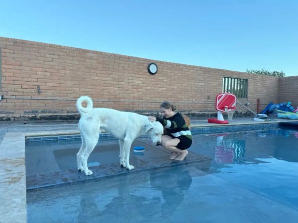 Trade Alert (ADSK)+ Where We'd Buy More + Chat Transcript