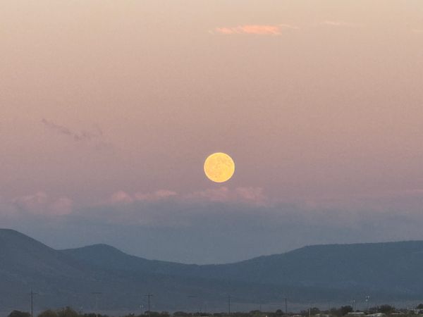 Trade Alert, Chasing Momentum vs. Value, REM Miners, Voyager Outlook, and Much More