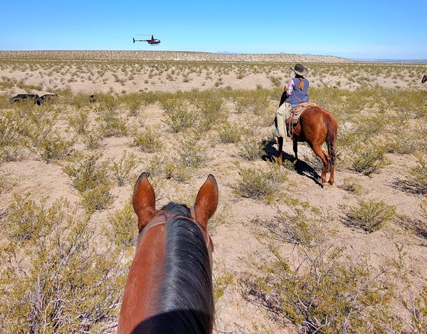 Tangible Fear, Crypto Crash, CRWV Default, Commodity Stablecoins, and Much More