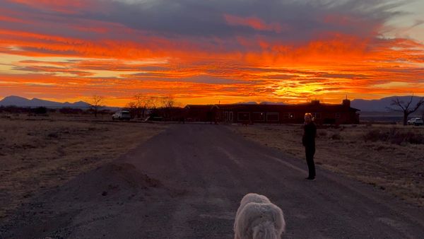 Claude, RAM Shortage, Tariffs, Robotaxis, and Much More