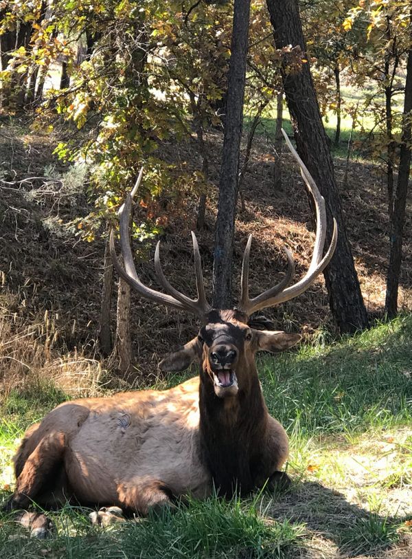 War Fears, Memory Madness, SpaceX IPO, and Much More