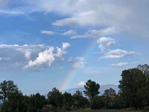 CORRECTED – Trade Alert: Not zen about ZEN (and a note on Tesla and Slack)