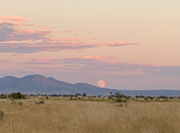 The Lost Crypto Video