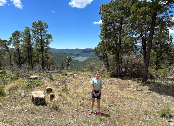 Stagflation, NVDA Earnings, Guitar Practice, And Much More