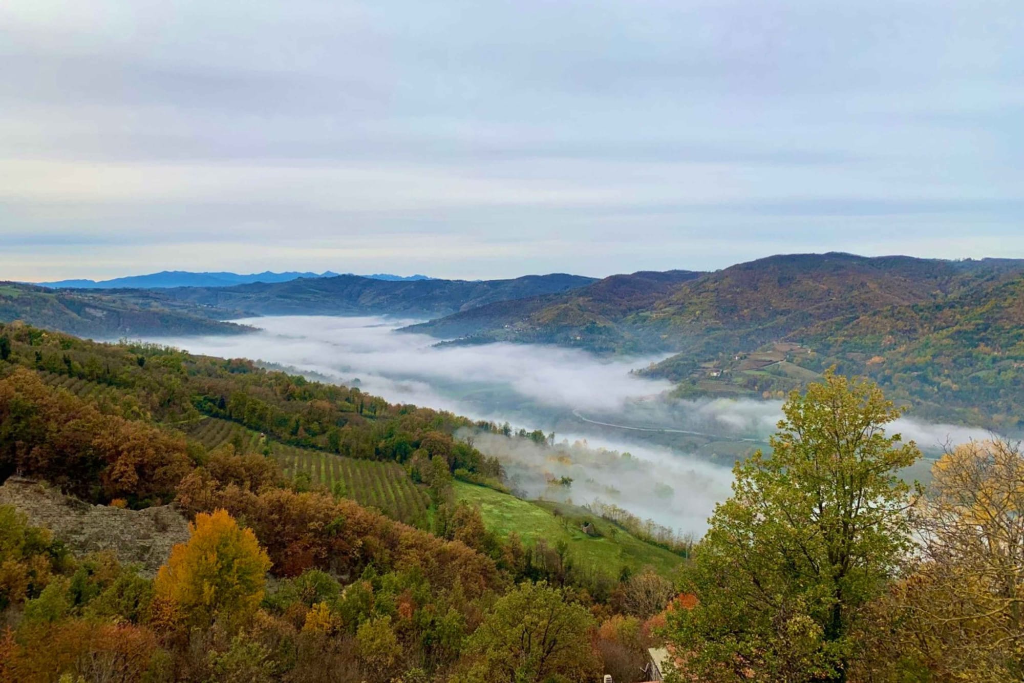 Autumn colours and mist in Langhe. 