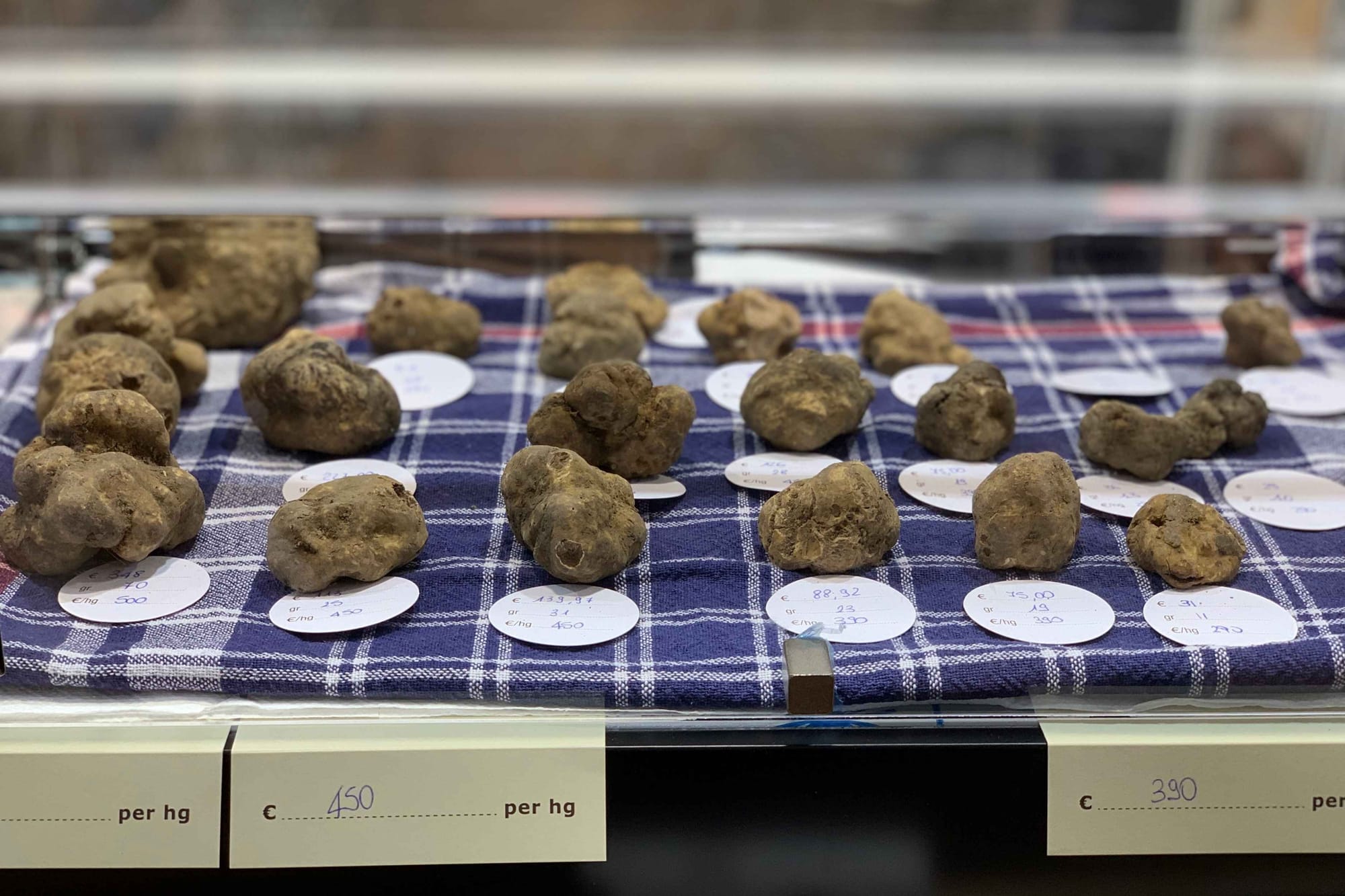 White truffles on sale at the truffle festival in Alba.