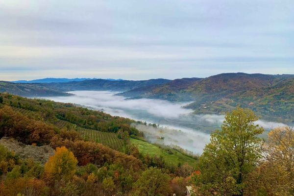 A misty autumn morning in Alta Langa.