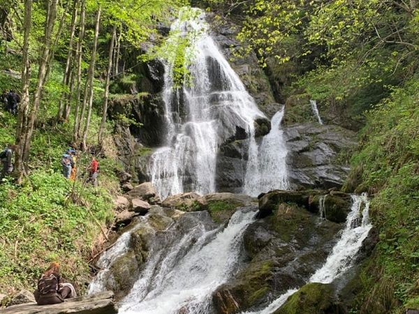 A multitiered waterfall in a forest surrounded by rocks.