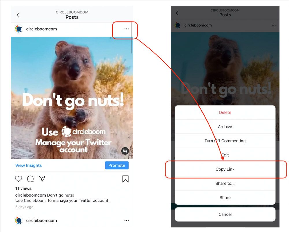 Download your social media videos on Circleboom.