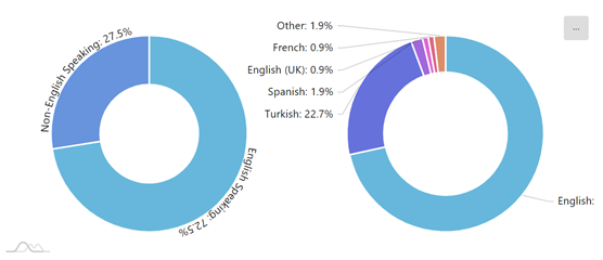 Twitter Follower Language Analytics of Circleboom