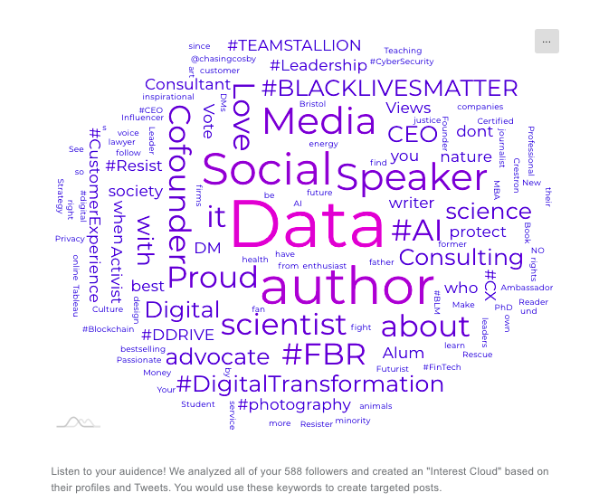 Interest targeting on Circleboom Twitter.