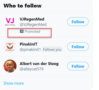 Promoting profiles on Twitter