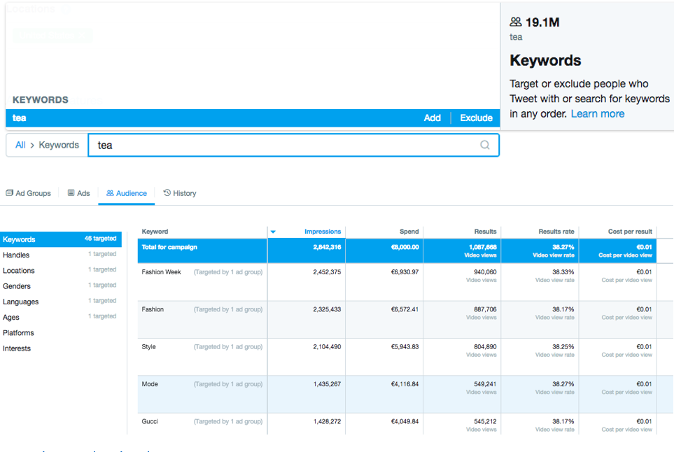Twitter keyword and audience targeting