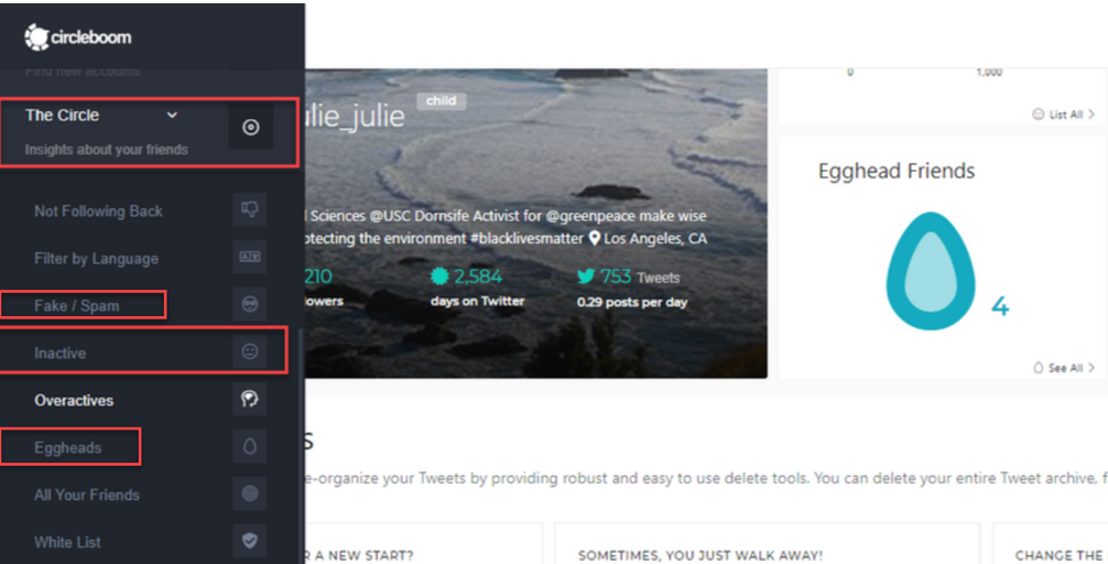 Detect fake and inactive Twitter followers with Circleboom.