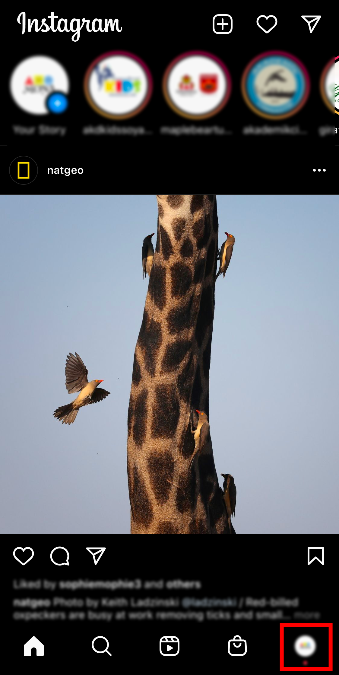 Archived Instagram posts are typically used to hide a post on your profile while keeping it accessible for yourself.