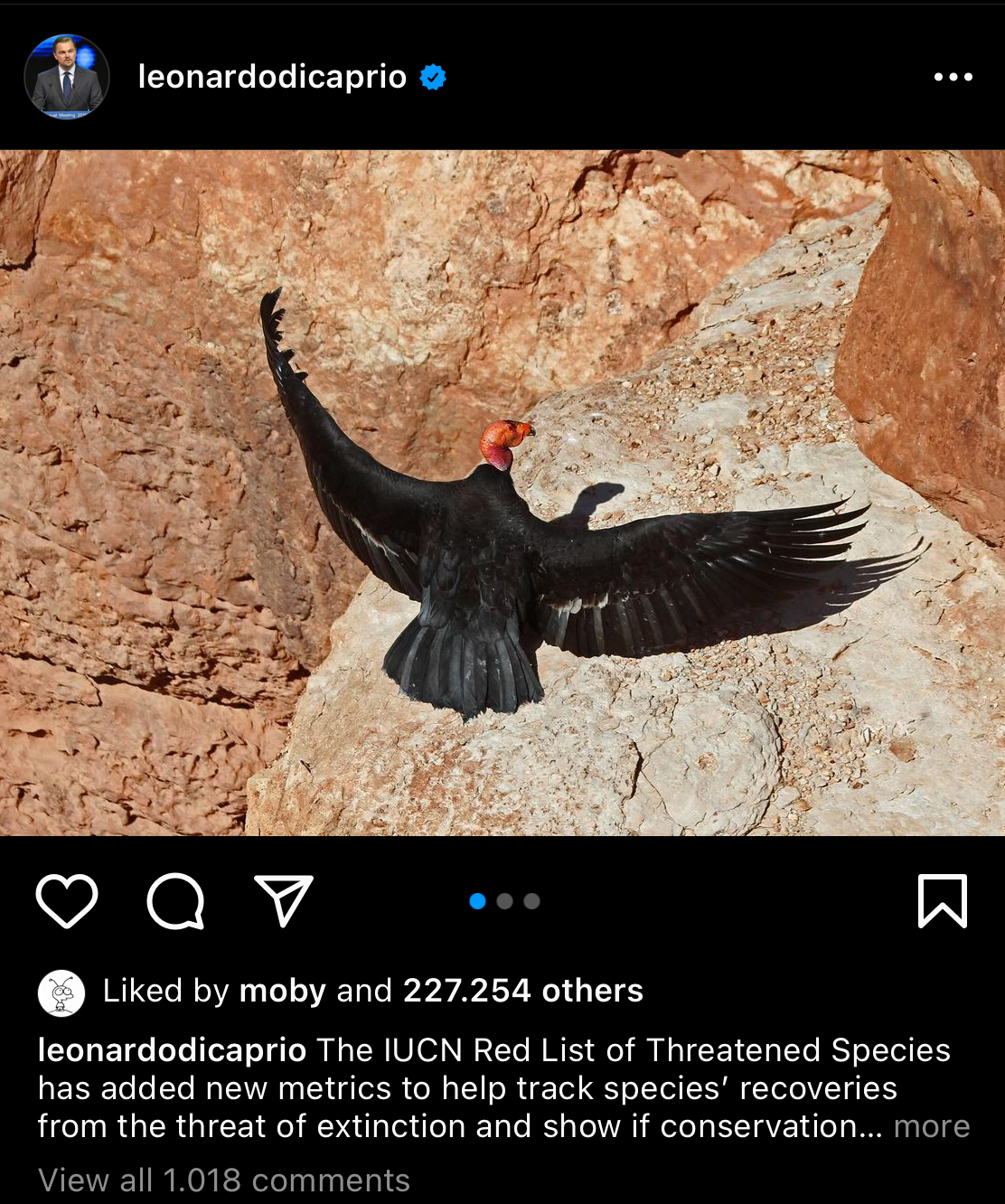 Recommended Instagram image size for horizontal posts is 1.91:1.