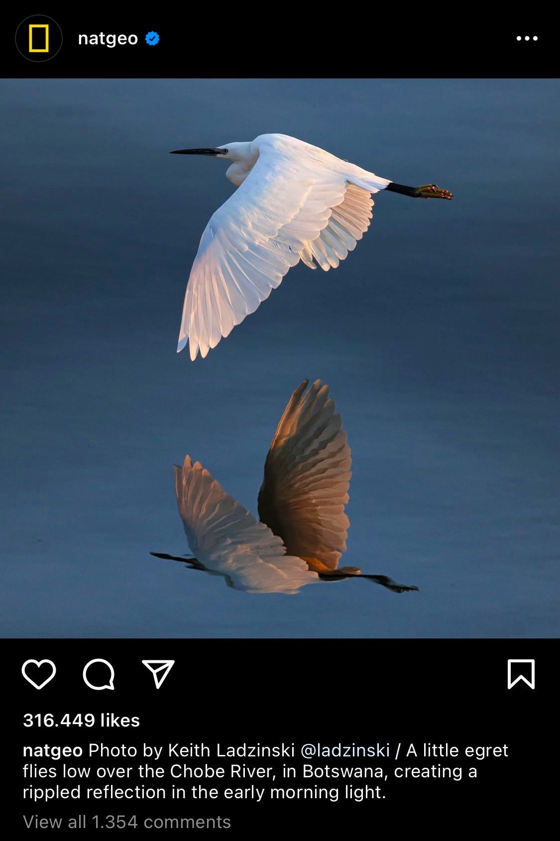 To optimize your content with the ideal Instagram image size for the square format, we suggest you follow 1080px x 1080px in size.