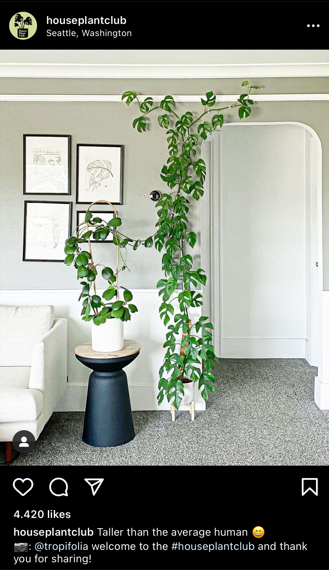 The ideal Instagram image size for vertical content is 4:5