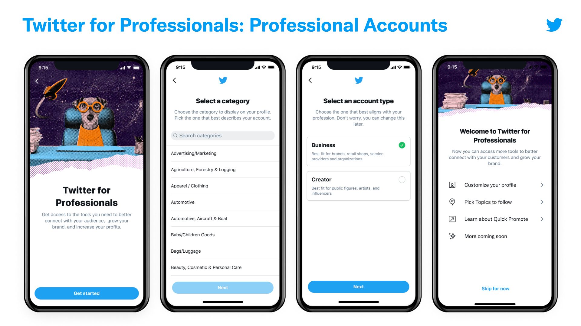 conversion of a standard account into Professional Twitter account