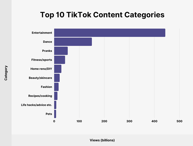 Top 10 TikTok Content Categories