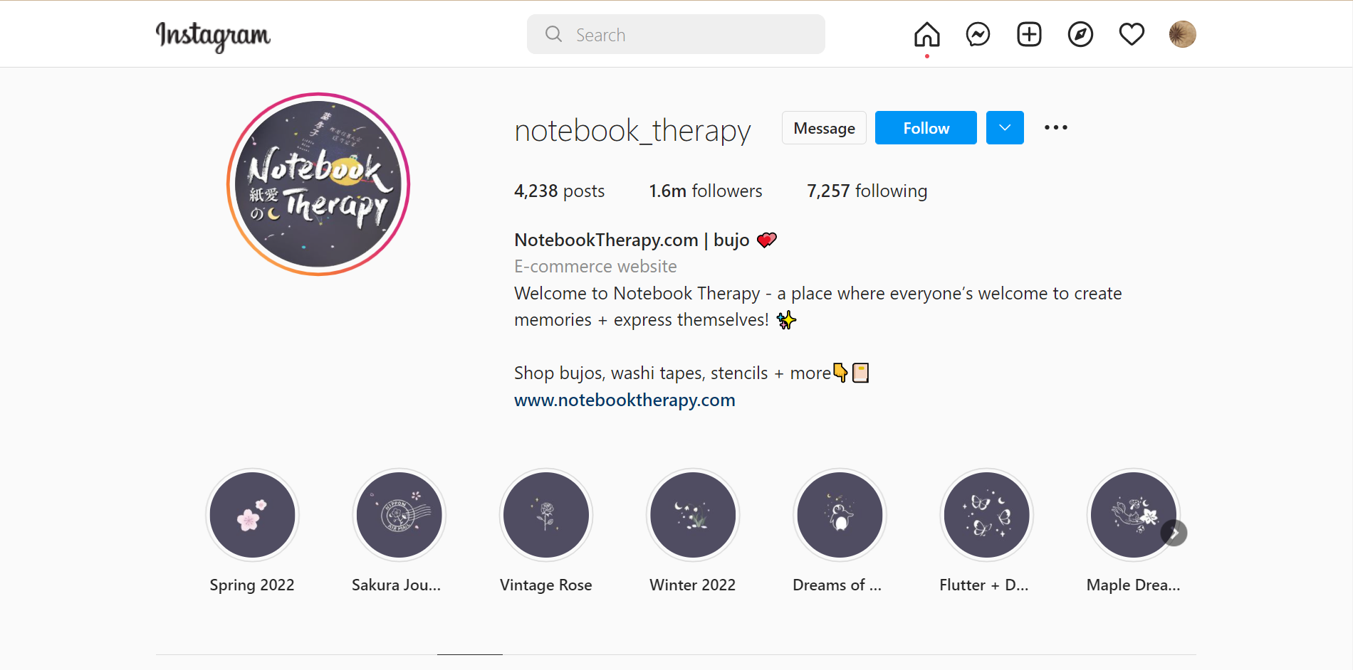 Design your Instagram bios well for your dropshipping store