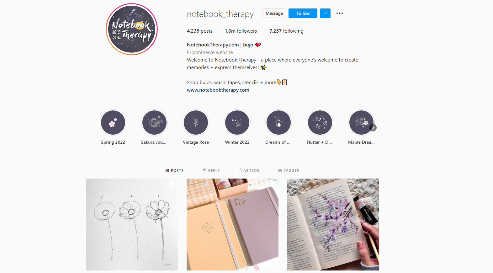 Dropshipping with Instagram