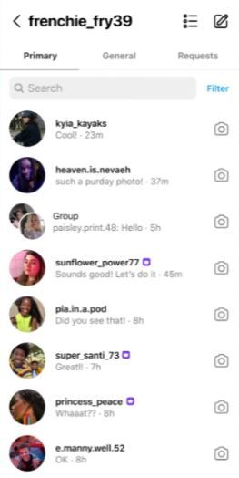 Instagram subscription badges also show up on direct messages box on Instagram