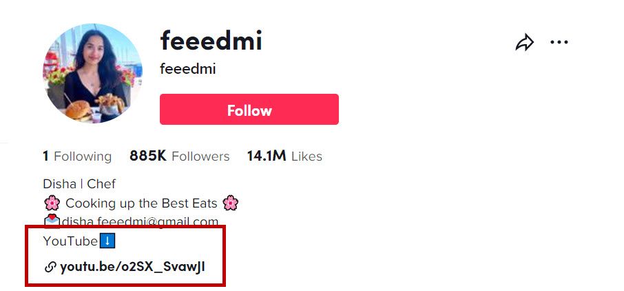 Put Youtube link to TikTok bio