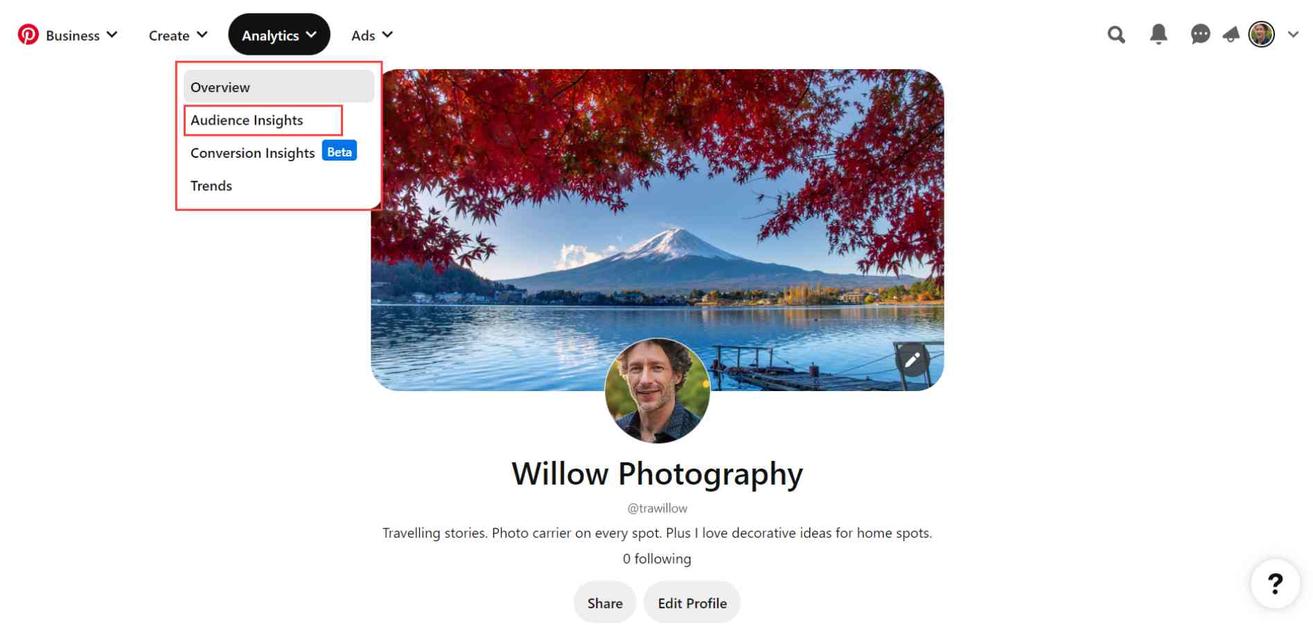 Pinterest Audience Insights
