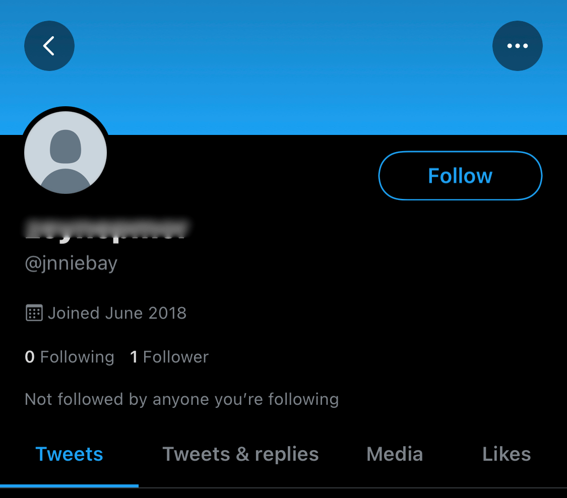 Profile page of a Twitter account