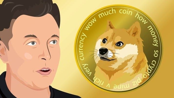 Elon Musk is a big fan of Dogecoin, popularizing it by himself.