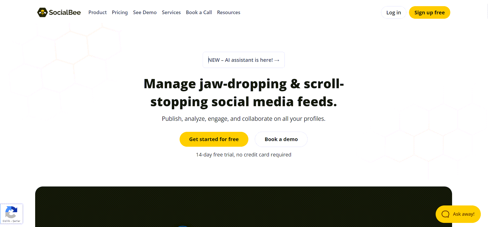 SocialBee