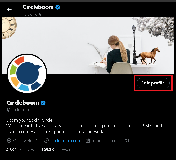 You can go to your Twitter Business Account profile and edit your details.