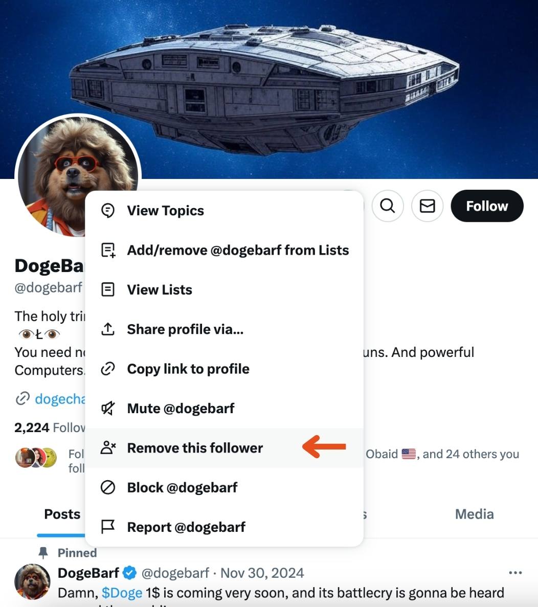 Remove this follower