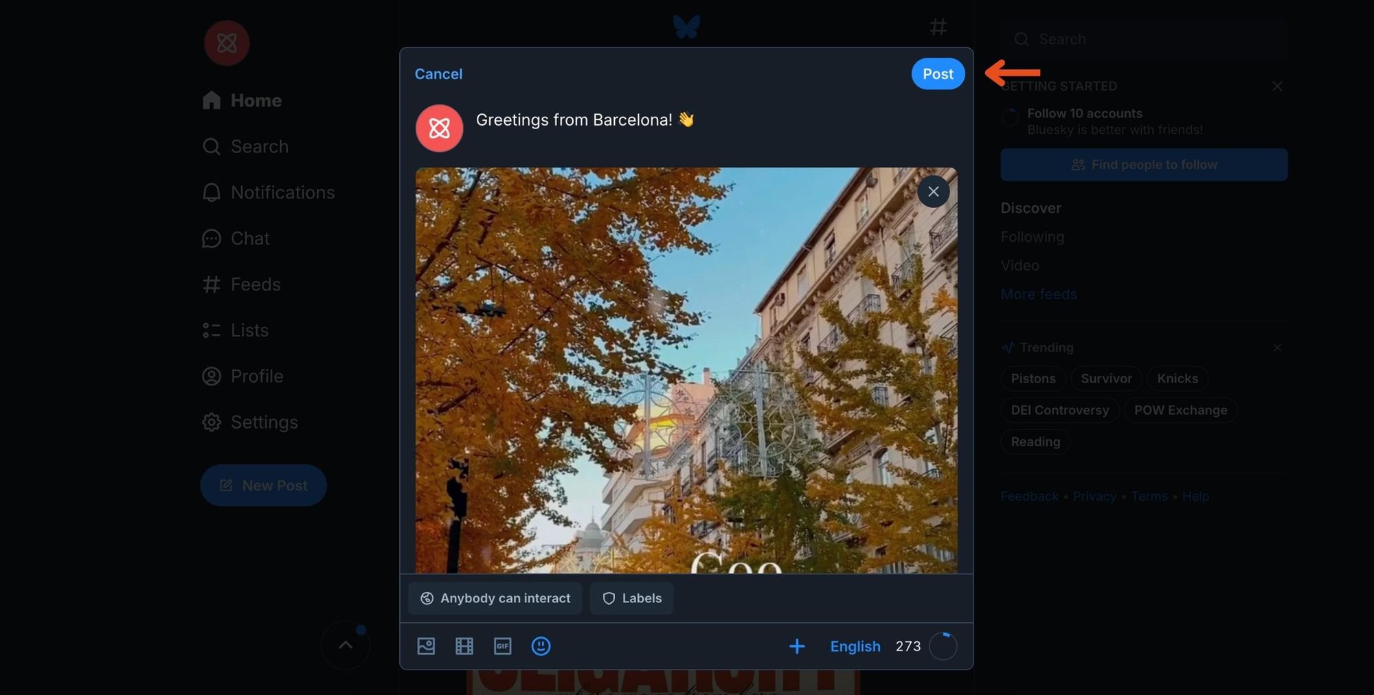 Video posting on Bluesky
