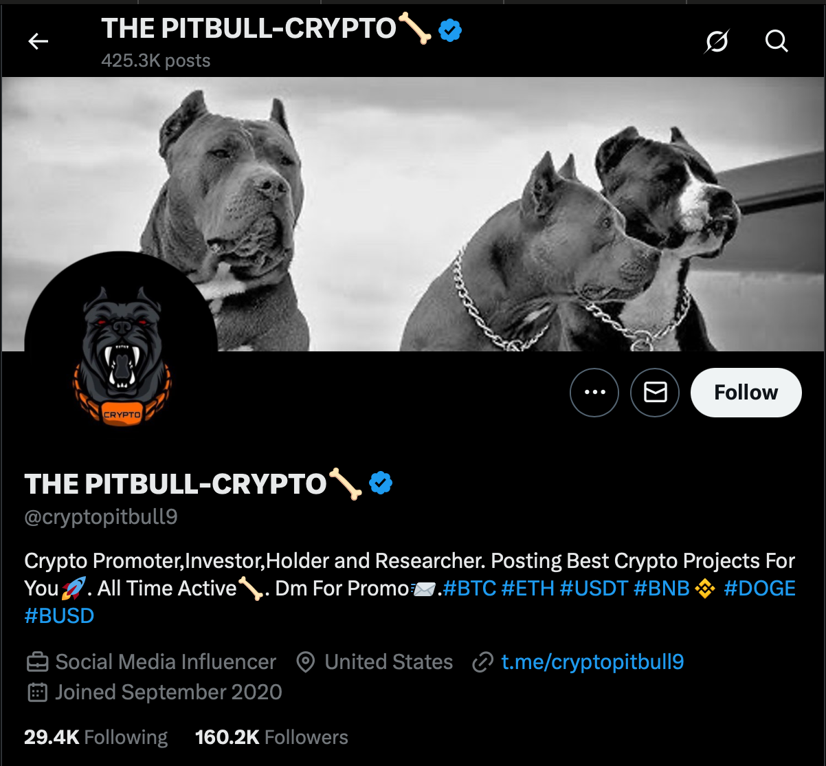 The Pitbull-Crypto