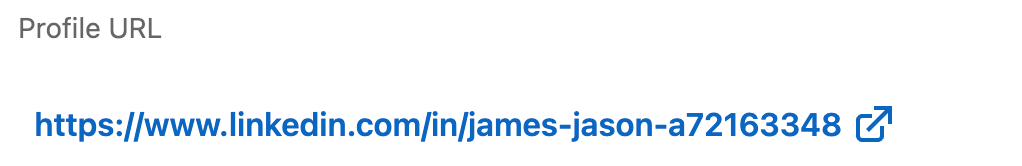 An unprofessional LinkedIn Username
