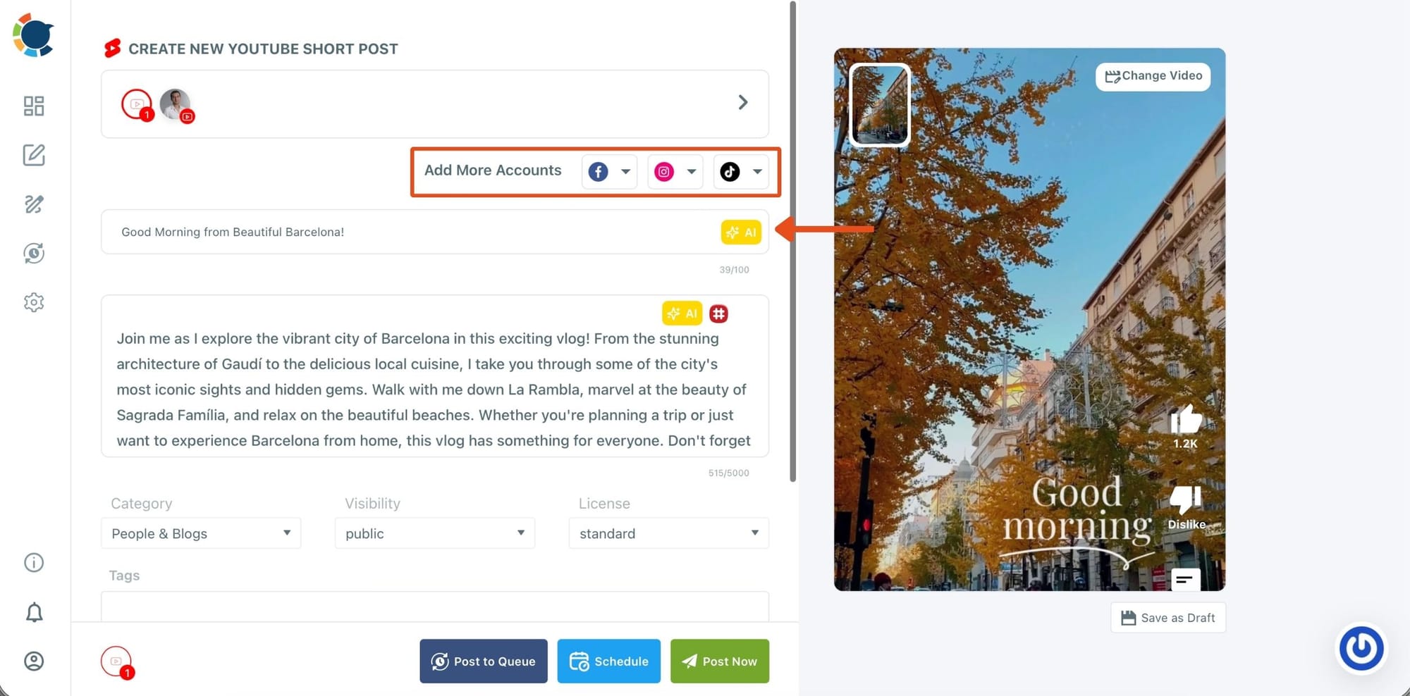 Enter the other details like video title, and audience.