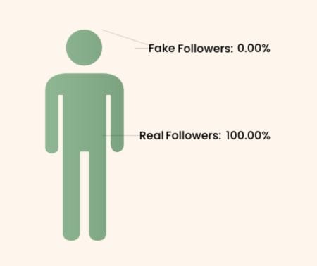 After Removing Fake Followers