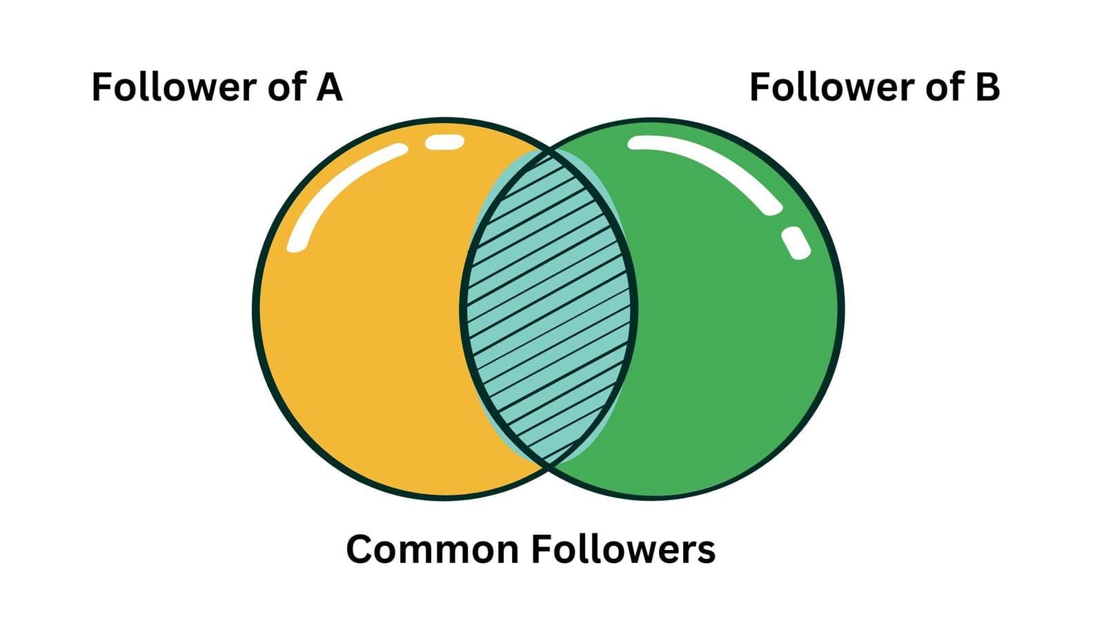 Compare Twitter Followers