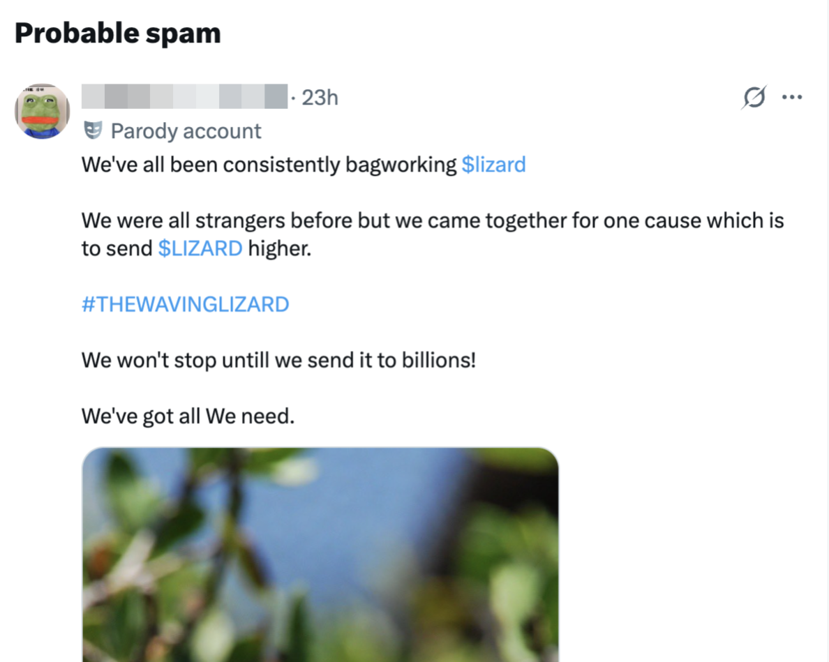 An example of probable spam reply