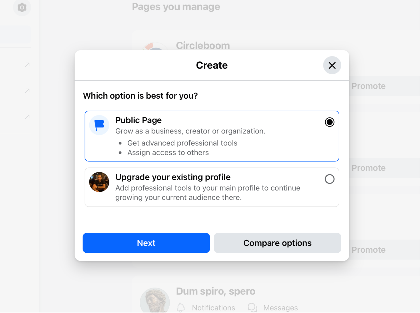 Select 'Public page'