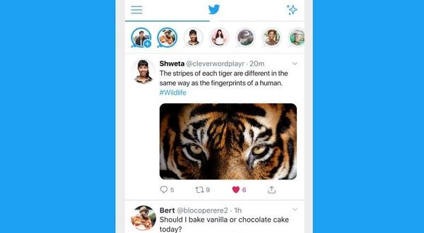 Twitter fleets and collaborative fleets: how to get started immediately