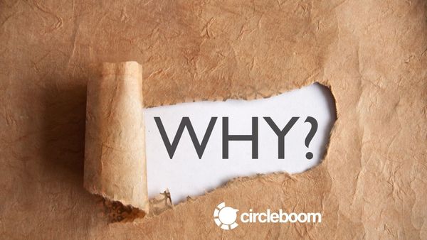 Why well-known businesses prefer Circleboom Twitter