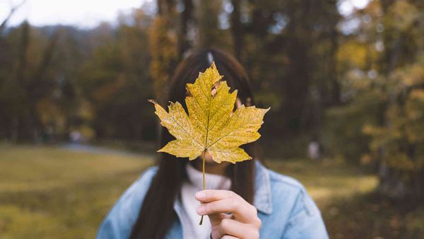 Can you hide posts on Instagram from certain followers?