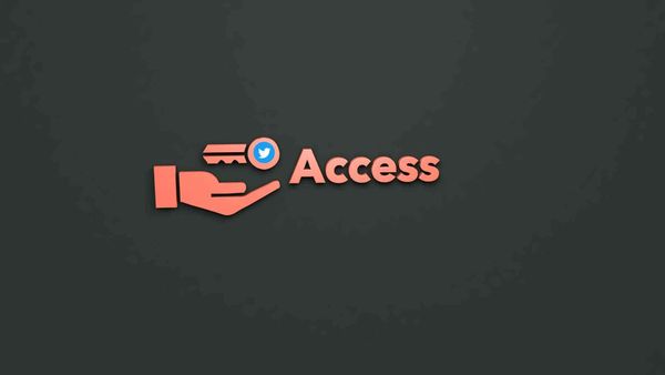 How can I grant other people access to my Twitter account?