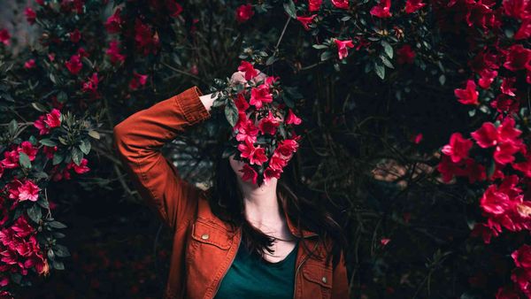 Hide your likes on Twitter in seconds!