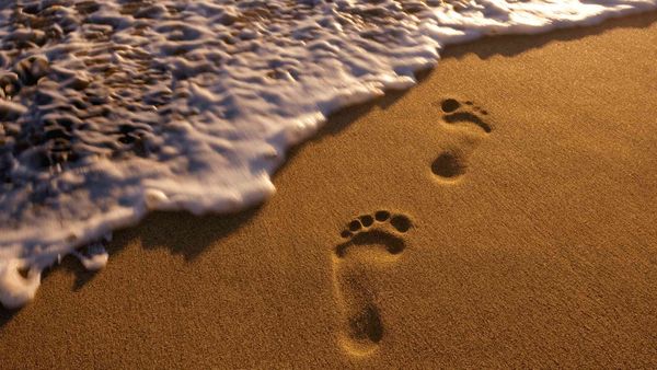 A Full Guide to Remove Followers on Twitter (Desktop/iPhone)