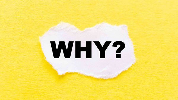 Why is the tweet scheduling feature not showing up on my Twitter app?