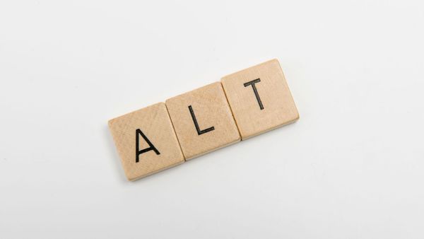 How to Add Alt Text on Twitter!